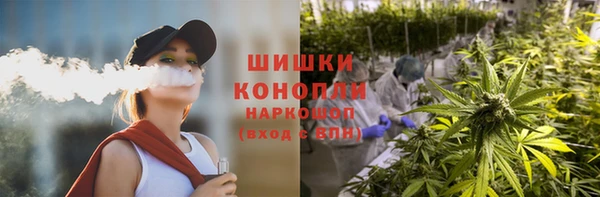 МДПВ Заводоуковск