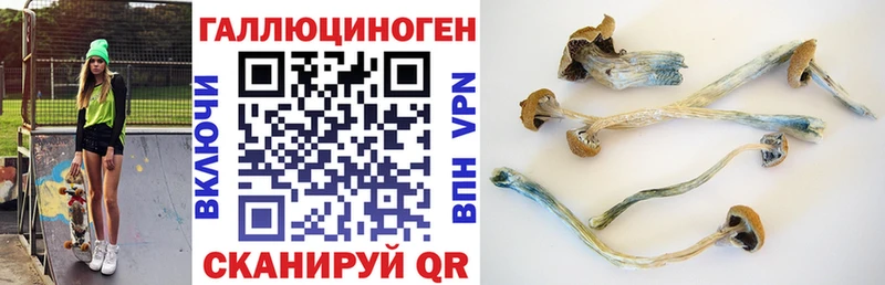 Галлюциногенные грибы Psilocybine cubensis  Мытищи 